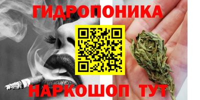 ГАЛЛЮЦИНОГЕННЫЕ ГРИБЫ Гусь-Хрустальный